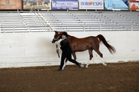 PacSlope20_Fri_4357