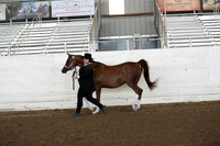 PacSlope20_Fri_4358