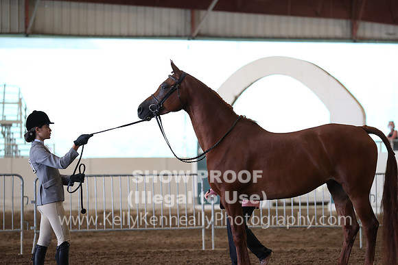 PacSlope20_Fri_4414