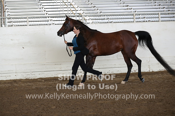 PacSlope20_Fri_4418