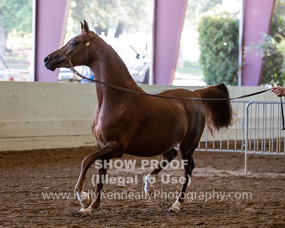 PacSlope20_Fri_4002