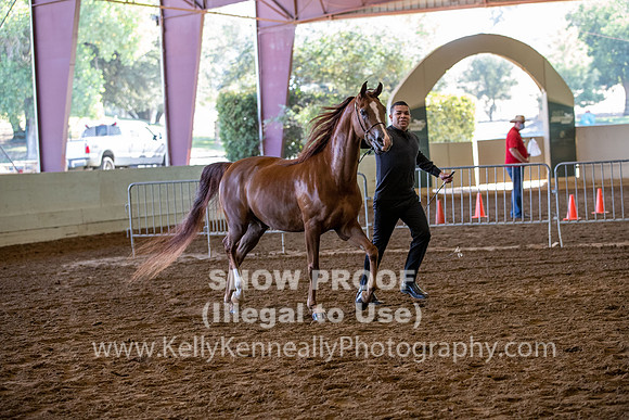 PacSlope20_Fri_4017