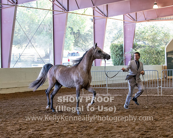 PacSlope20_Fri_4041