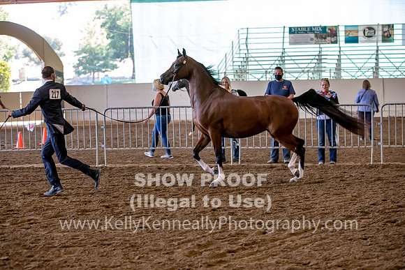 PacSlope20_Fri_4086