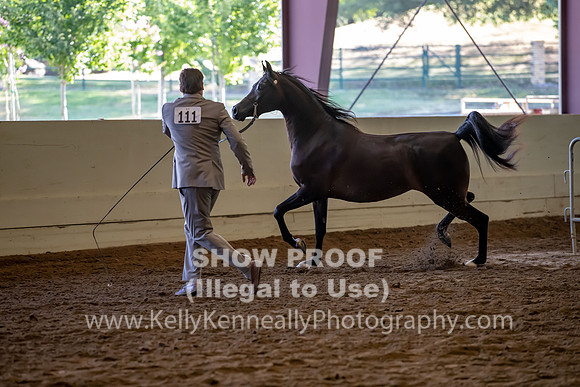 PacSlope20_Fri_4101