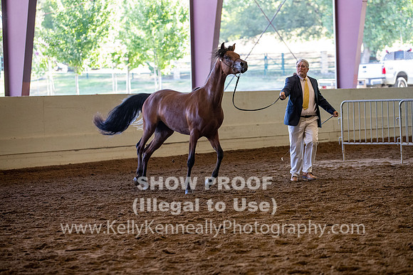 PacSlope20_Fri_4109