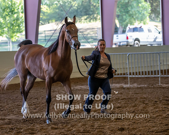 PacSlope20_Fri_4182