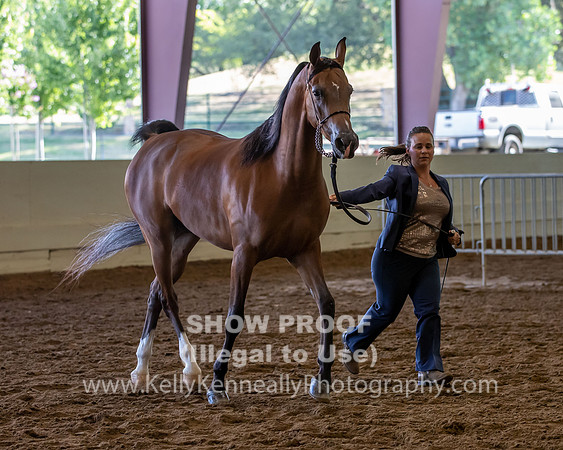 PacSlope20_Fri_4183