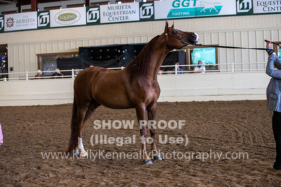 PacSlope20_Fri_4192