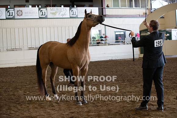 PacSlope20_Fri_4338