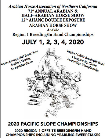 AHANC_Cover2020