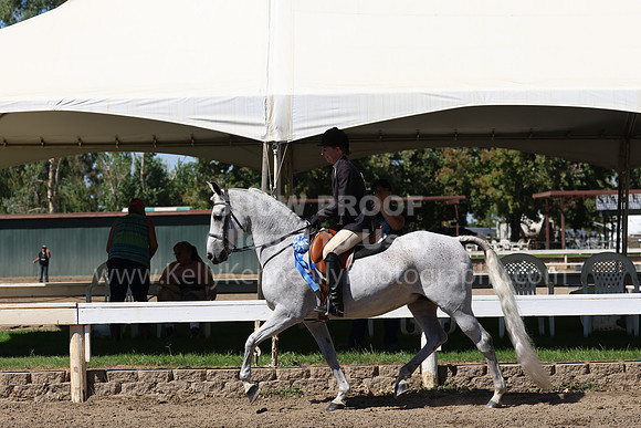 DAHA_FF22_0923