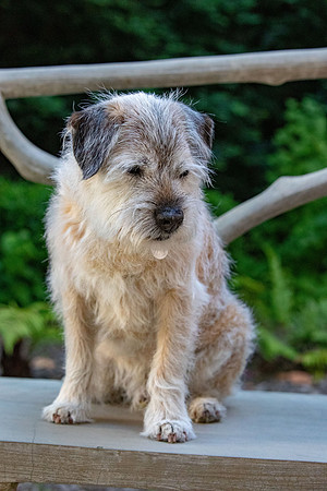 WinstonJuly20-0173