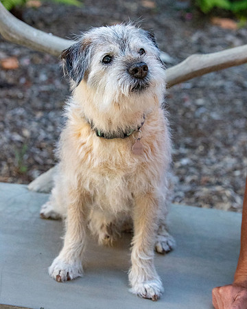 WinstonJuly20-0179