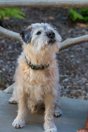 WinstonJuly20-0180