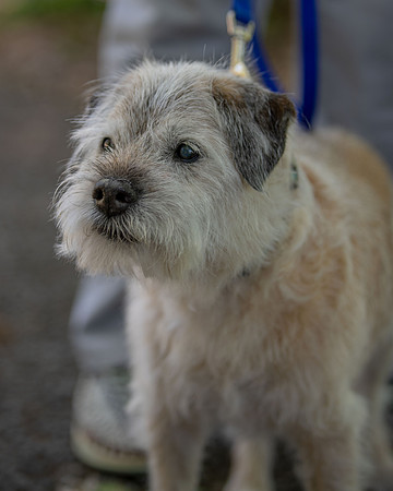 WinstonJuly20-0321
