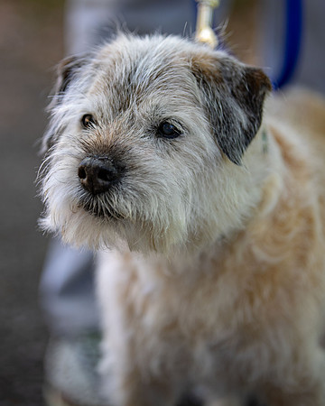 WinstonJuly20-0323