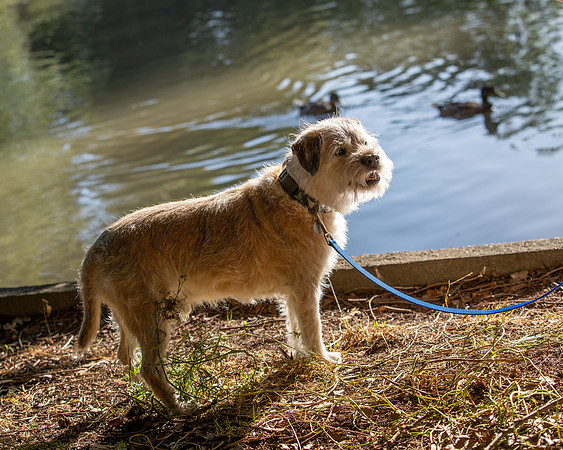 WinstonJuly20-0354