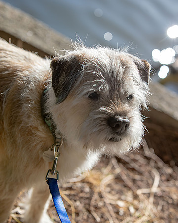WinstonJuly20-0374