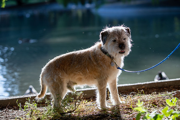 WinstonJuly20-0387