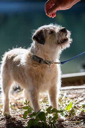 WinstonJuly20-0389
