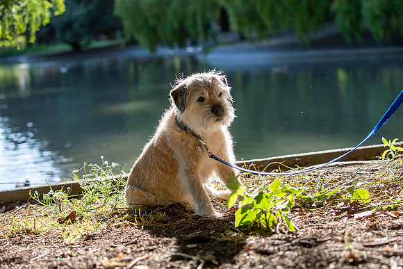 WinstonJuly20-0405