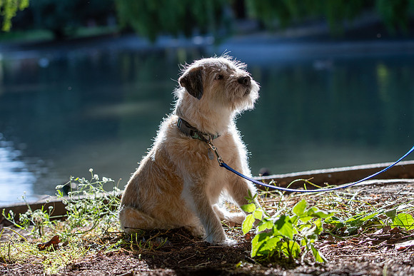 WinstonJuly20-0406