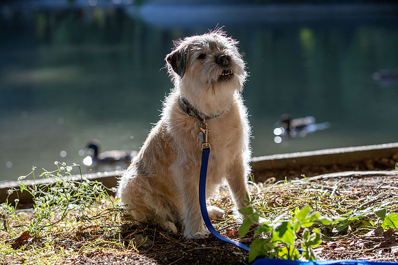 WinstonJuly20-0420