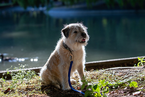 WinstonJuly20-0431
