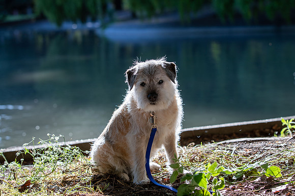 WinstonJuly20-0434