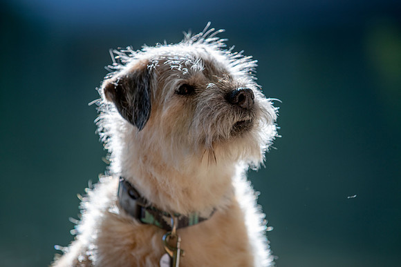 WinstonJuly20-0450