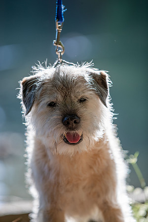 WinstonJuly20-0469