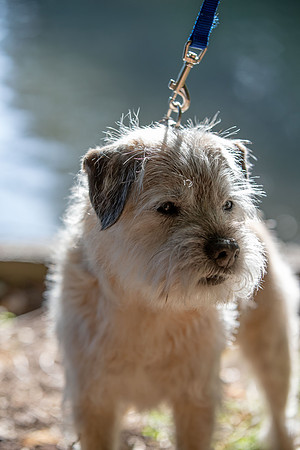 WinstonJuly20-0473