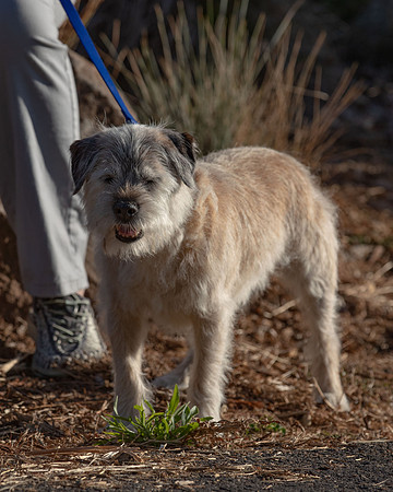 WinstonJuly20-0484