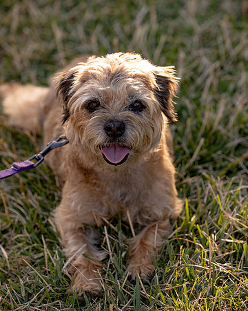 WinstonJuly20-0654
