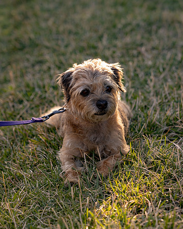 WinstonJuly20-0657