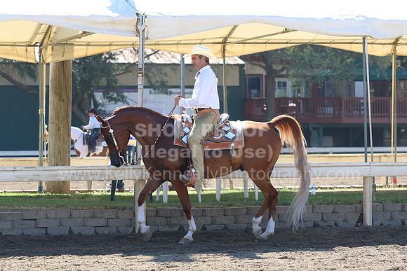 DAHA_FF22_4630