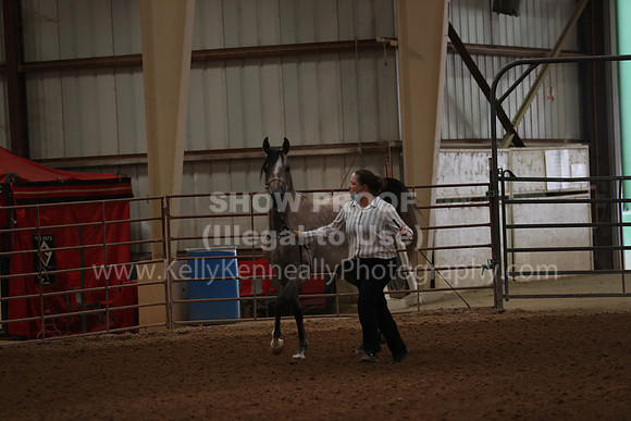 SilverBuckle20_FriAM_1712
