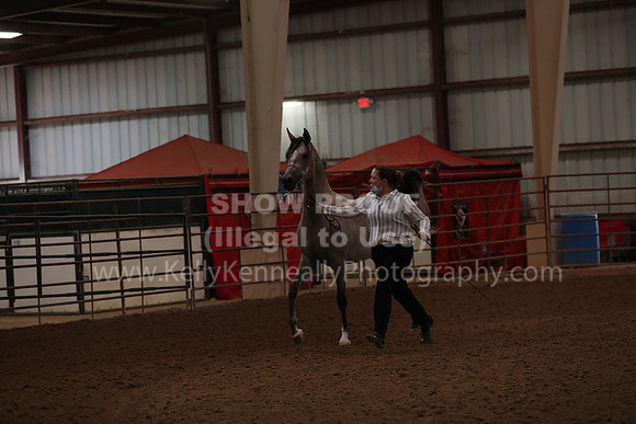 SilverBuckle20_FriAM_1719
