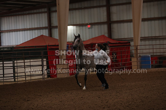 SilverBuckle20_FriAM_1718