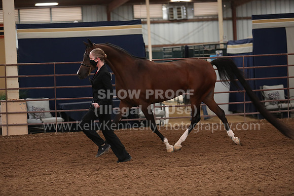 SilverBuckle20_FriAM_1858