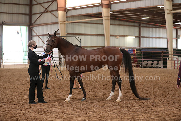 SilverBuckle20_FriAM_1859