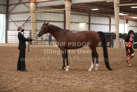 SilverBuckle20_FriAM_1862