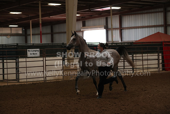 SilverBuckle20_FriAM_1721