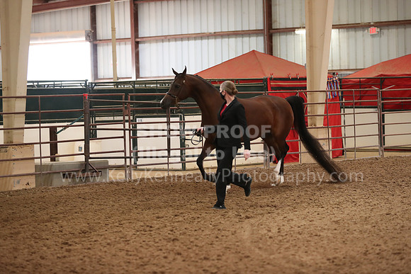SilverBuckle20_FriAM_1863