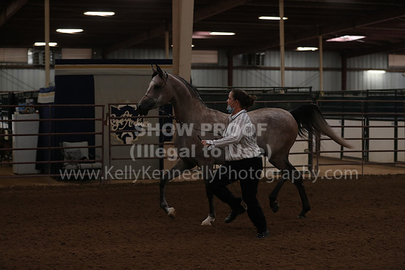 SilverBuckle20_FriAM_1723