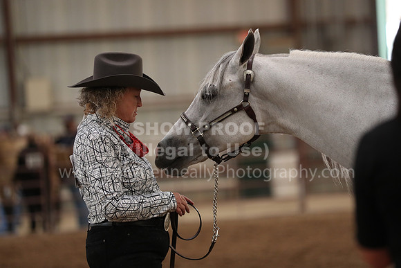 SilverBuckle20_FriAM_1909