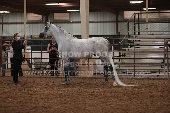 SilverBuckle20_FriAM_1907