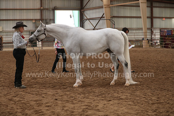 SilverBuckle20_FriAM_1906