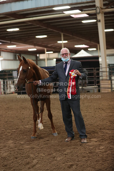 SilverBuckle20_FriAM_1825